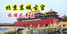 白丝被大鸡巴操中国北京-东城古宫旅游风景区